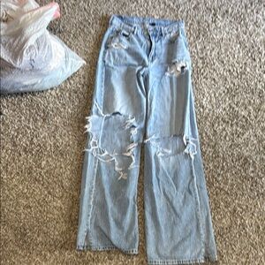 American Eagle Outfitters Blue Flare Wide Leg Jeans